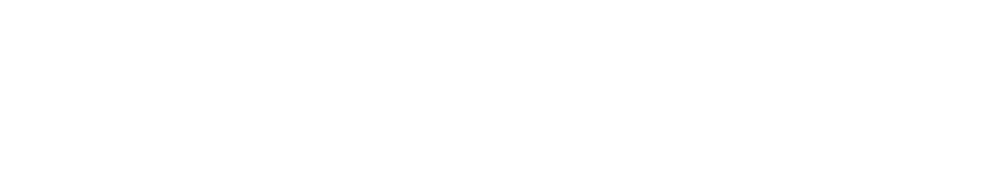 Universidad Carlos III de Madrid. Social council