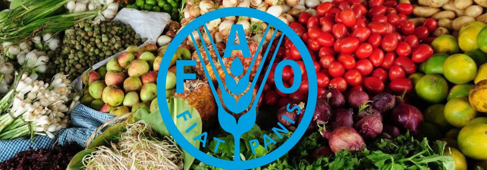 foto con alimentos y logo de FAO