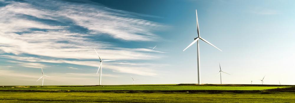 molinos de viento