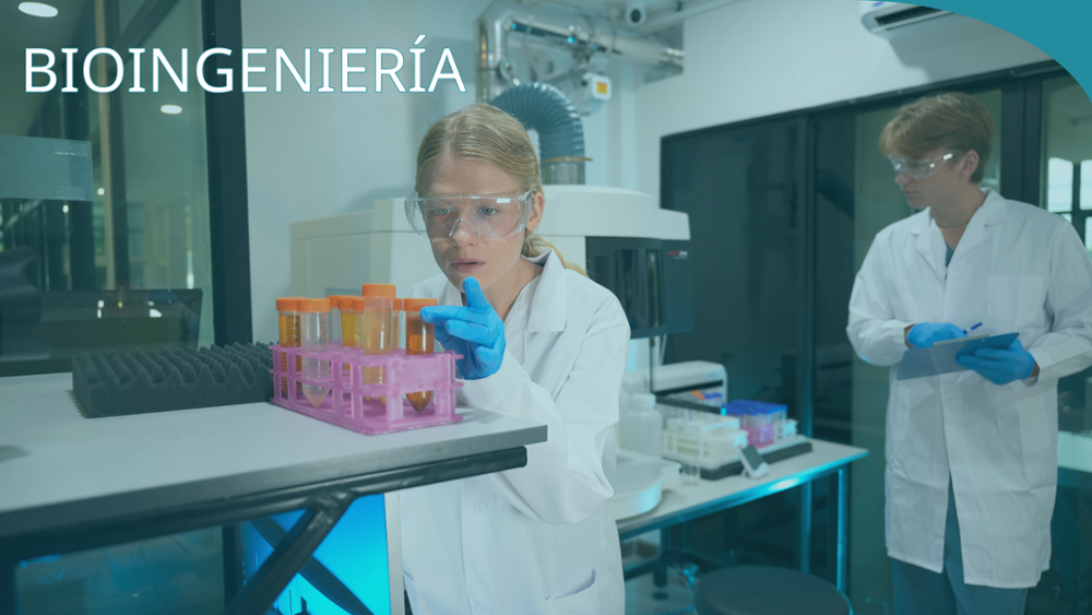 Engineering Research UCEAP_Bioingeniería