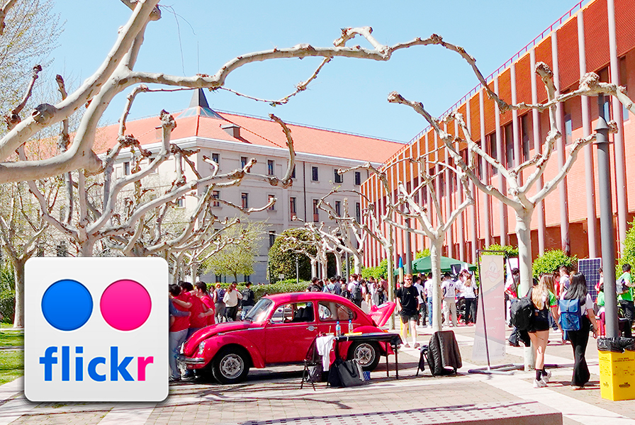Galería de imágenes de la Feria de las Asociaciones 2025