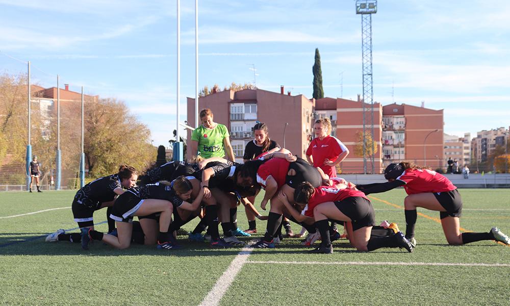 Hipopótamas Vistoria en casa