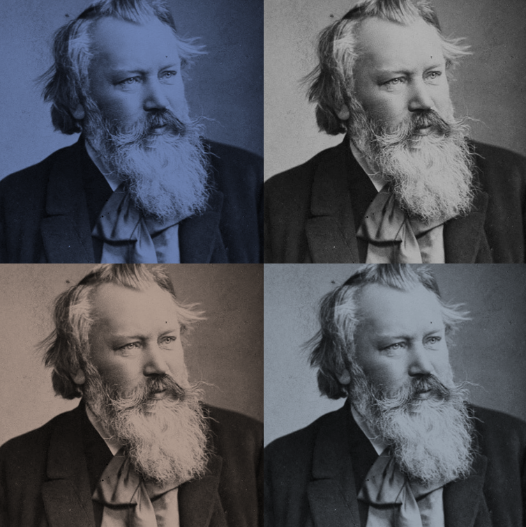 fotografía de Johannes  Brahms