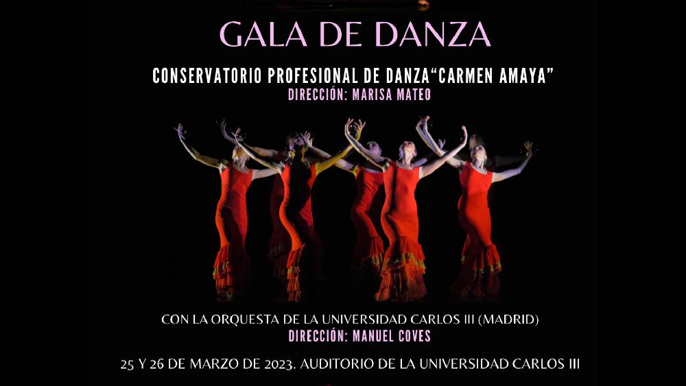 Cartel Gala Danza