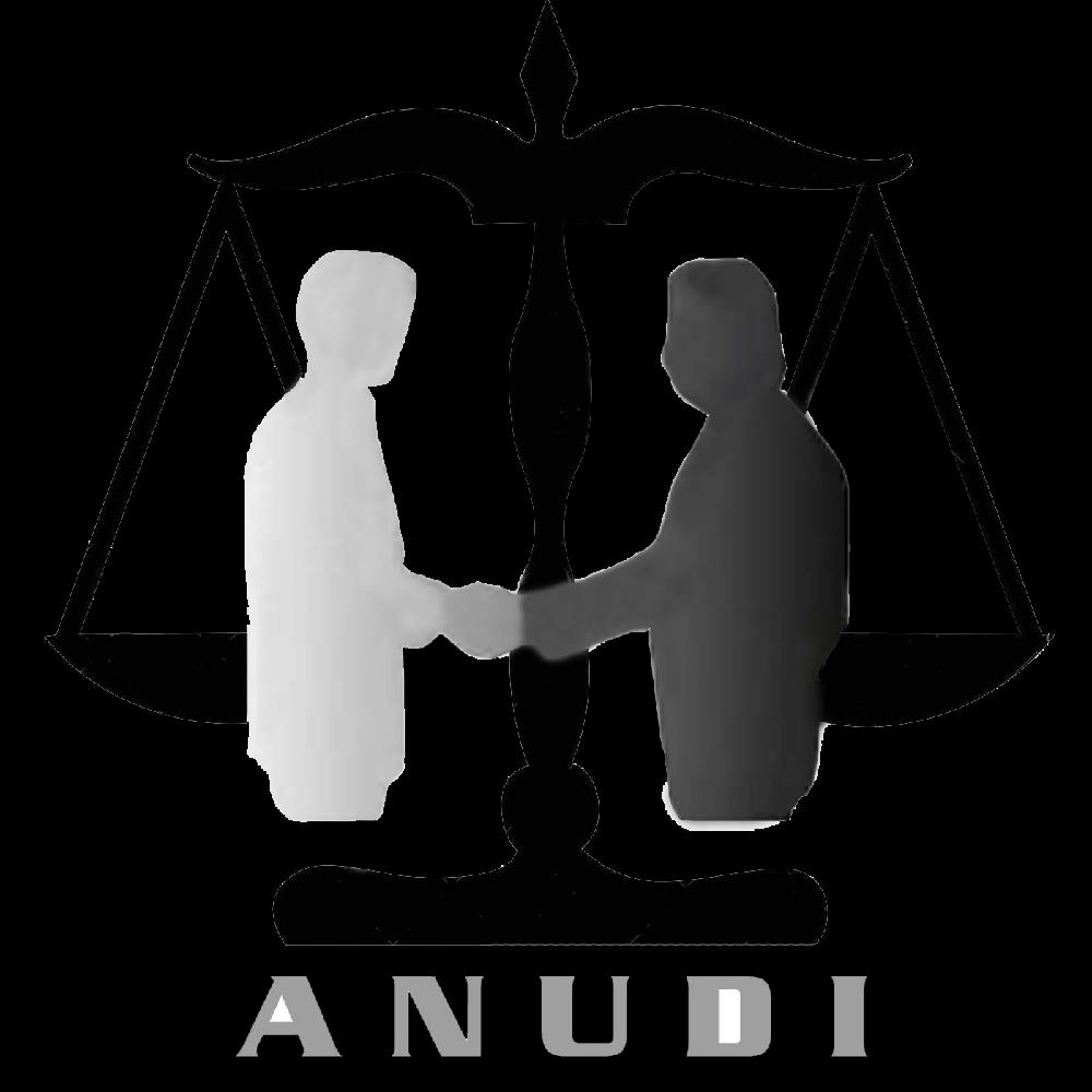 Logo Anudi