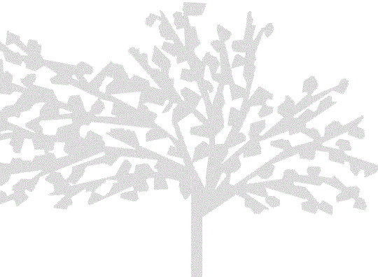 Imagen de Solidarios