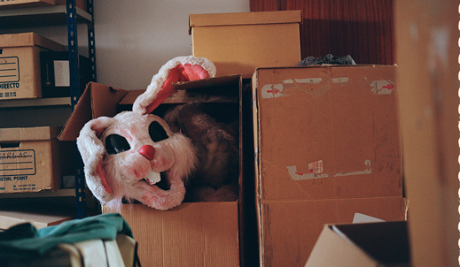 Conejo de felpa en una caja