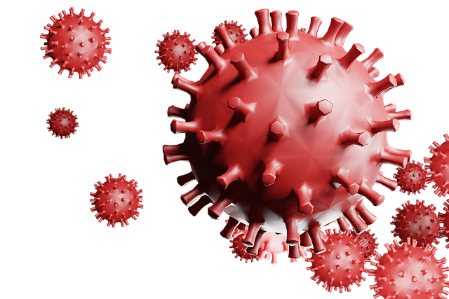 Imagen decorativa de un coronavirus