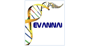 Logotipo de Evolutionary Algorithms, Neuronal Networks and Artificial Intelligence (EVANNAI)
