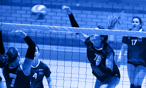 Selección Femenina de Voleibol