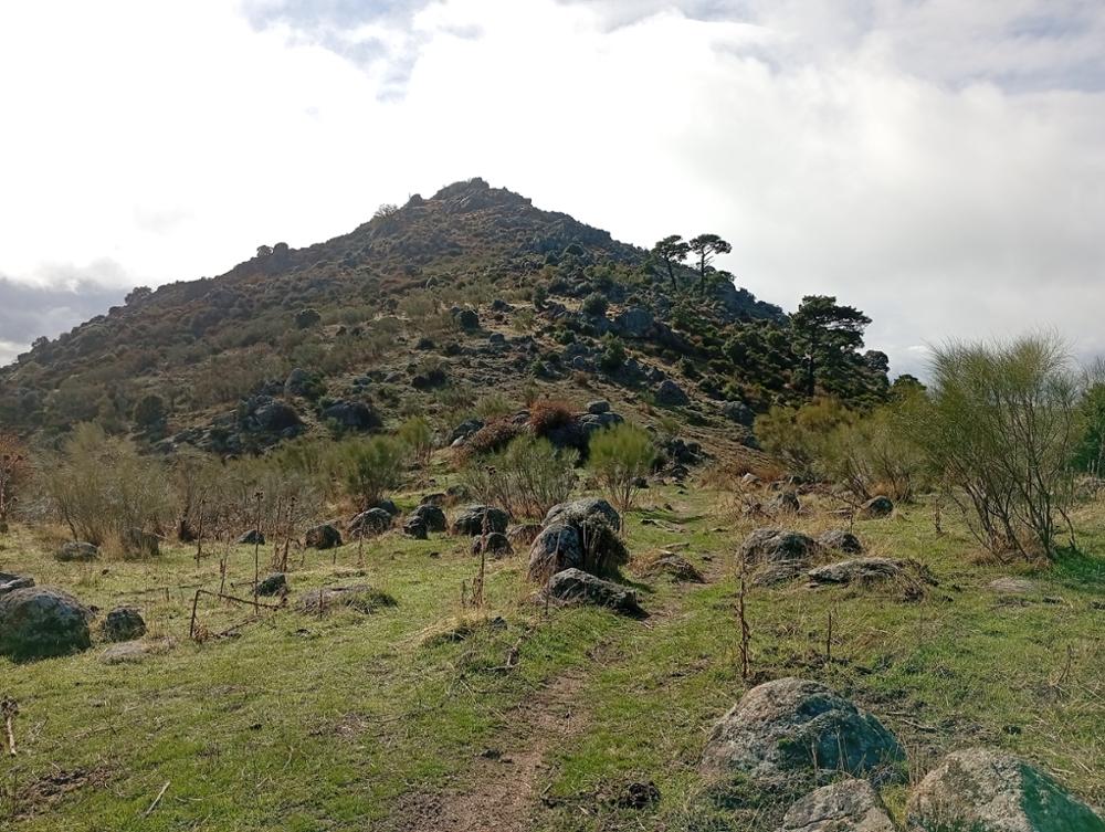RobleDondo