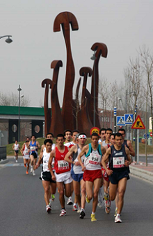 VII Intercampus