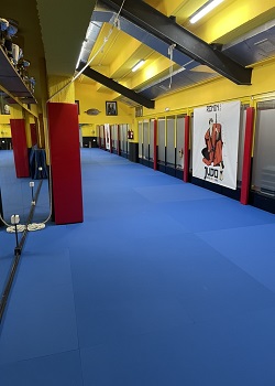 sala judo