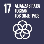 ODS 17