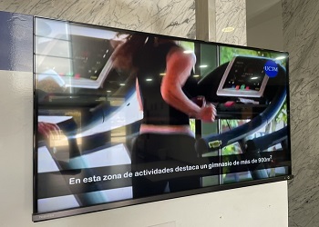 Pantalla