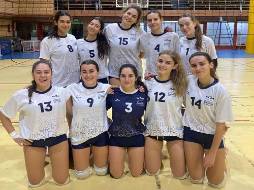 Volei