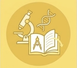 Desarrollo de los Estudios de Doctorado