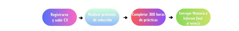 Pasos a seguir Turismo