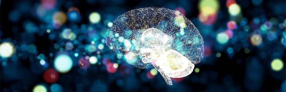 UC3M offers the first Degree in Neuroscience in Spain