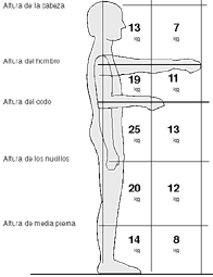 Pesos recomendados en función de la zona de manipulación.