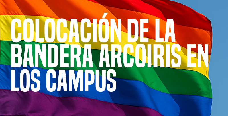 Bandera dia del orgullo 2025