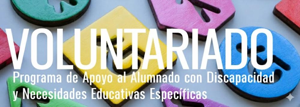 Imagen con las palabras: Voluntariado T-Incluye