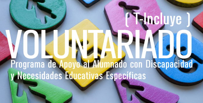 Programa voluntariado T-Incluye