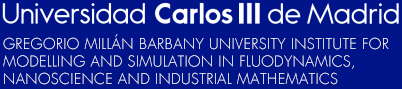 Gregorio Millán Barbany University Institute for Modelling and Simulation in Fluodynamics, nanoscience and industrial mathematics