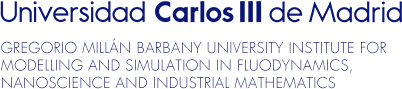 Gregorio Millán Barbany University Institute for Modelling and Simulation in Fluodynamics, Nanoscience and Industrial Mathematics