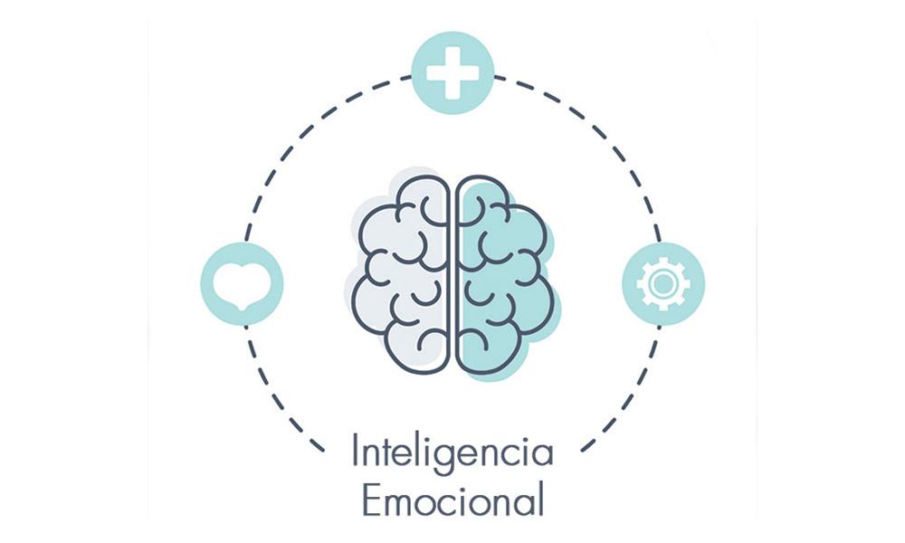 dibujo de  cerebro con dos mitades, la cerebral y la emocional