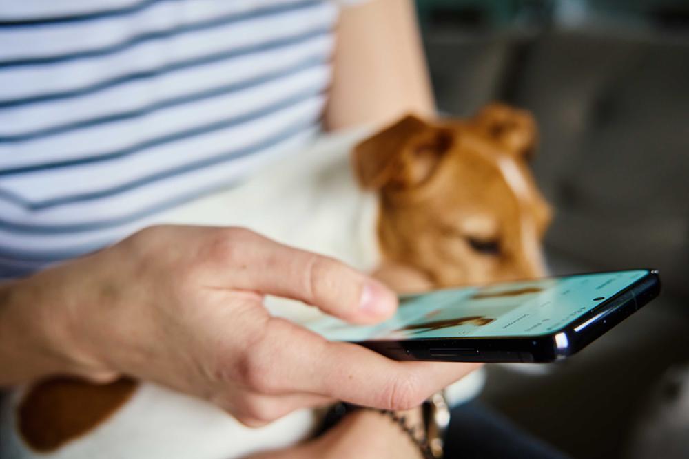 Una chica consulta el móvil mientras tiene a su perro en el regazo