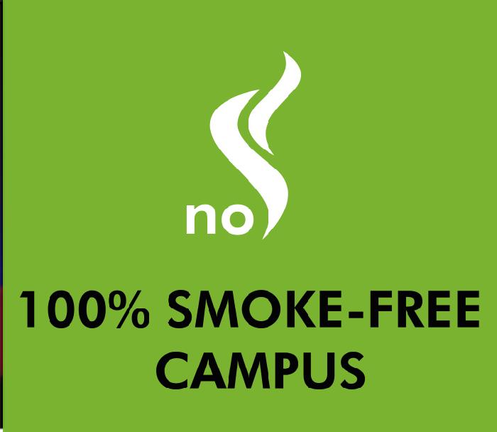 se ve la grafica de la campaña de campus 100% sin humo