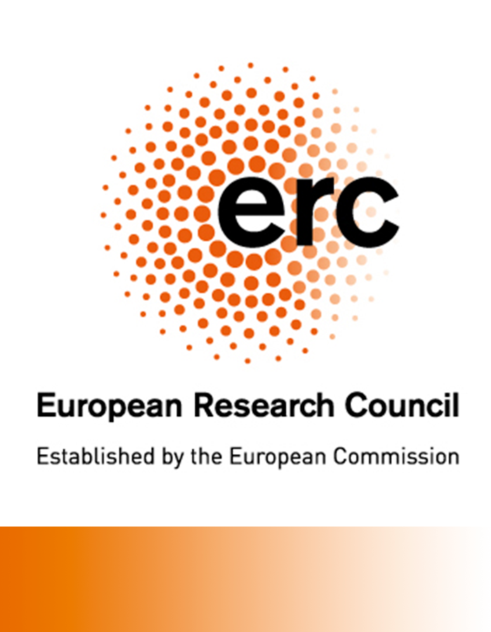 Horizon Europe ERC Proposal