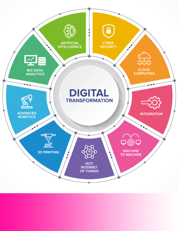 rueda competencias digitales