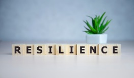 Resiliencia2