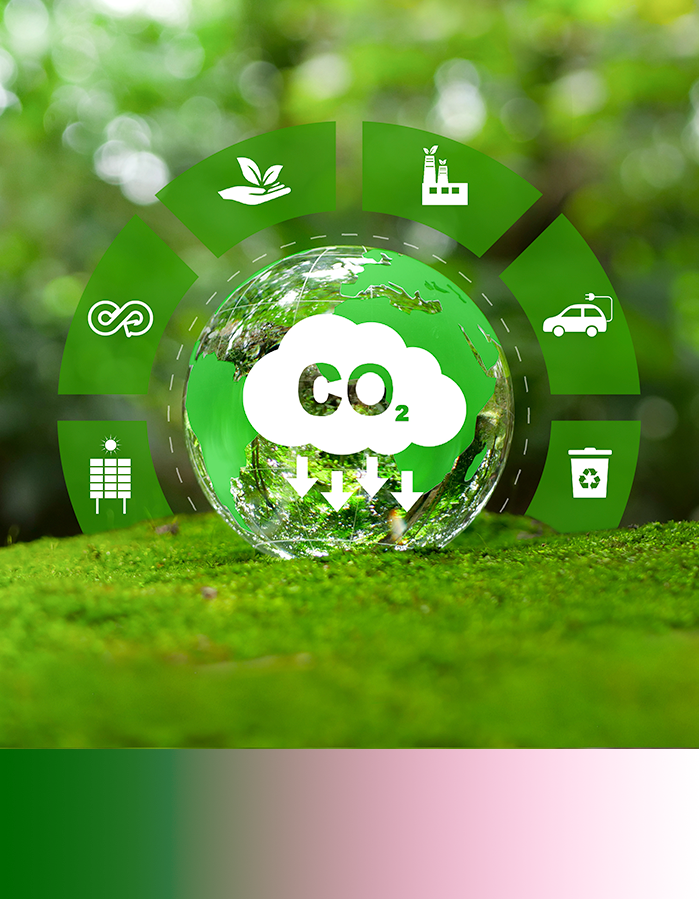 sostenibilidad y medioambiente