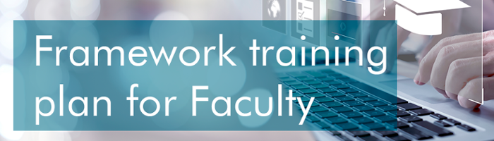 uc3m faculty training plan