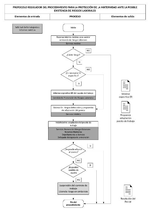 Protocolo protección maternidad