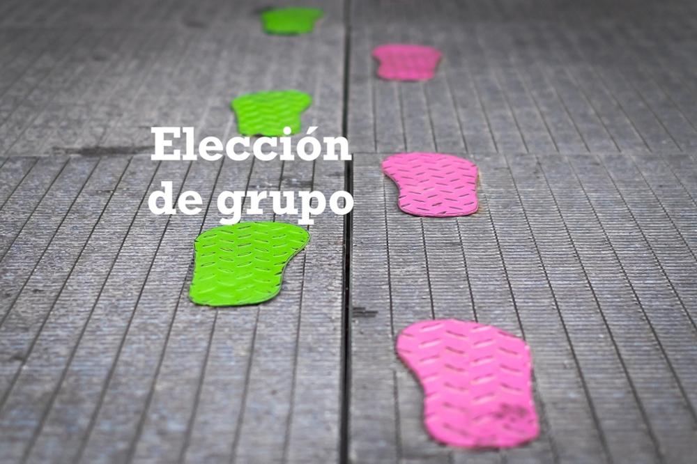 El tercer paso para hacer la matrícula es la elección de grupos