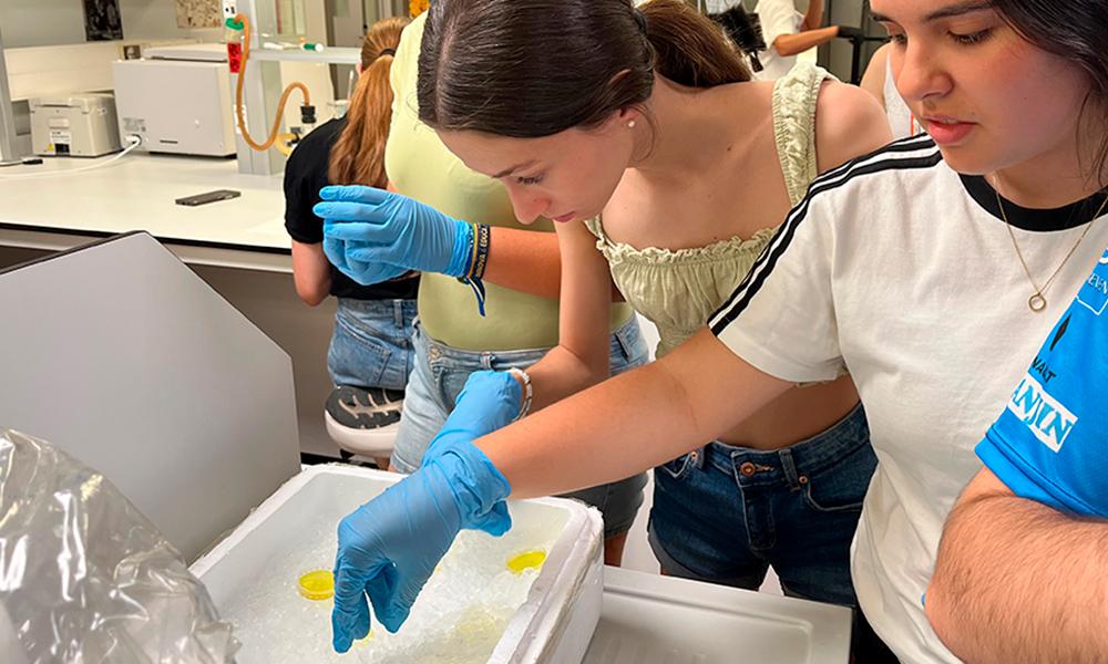 Chicas en laboratorios de la uc3m
