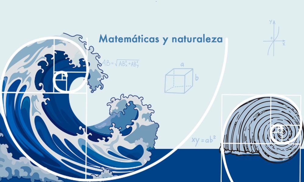 I Concurso de matemática aplicada y computacional