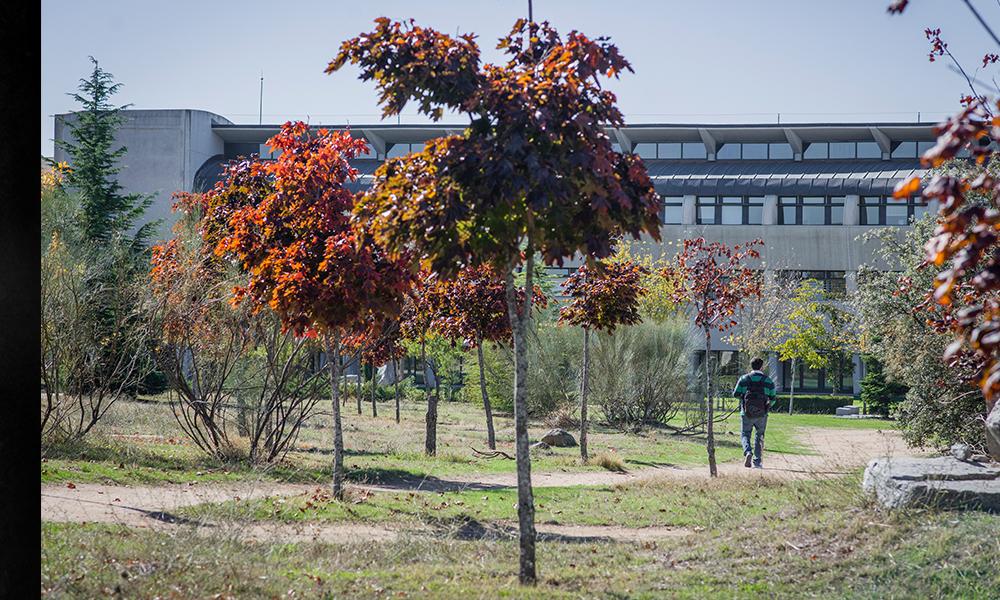 semana de la ciencia y la innovación