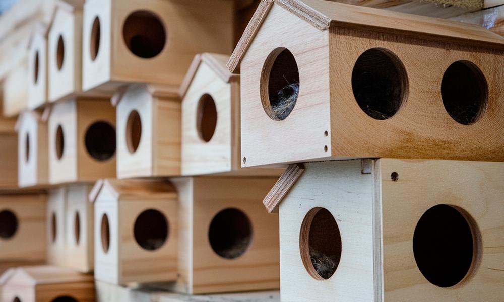 semana de la ciencia y la innovación