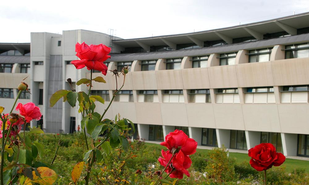 campus de Colmenarejo