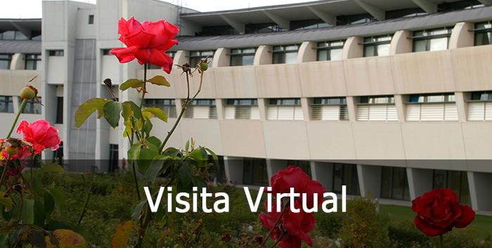 Visita virtual Colmenarejo