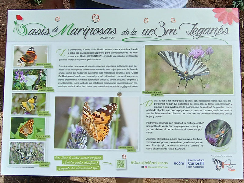 Biodiversidad cercana