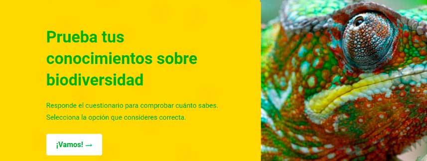  Prueba tus conocimientos sobre biodiversidad