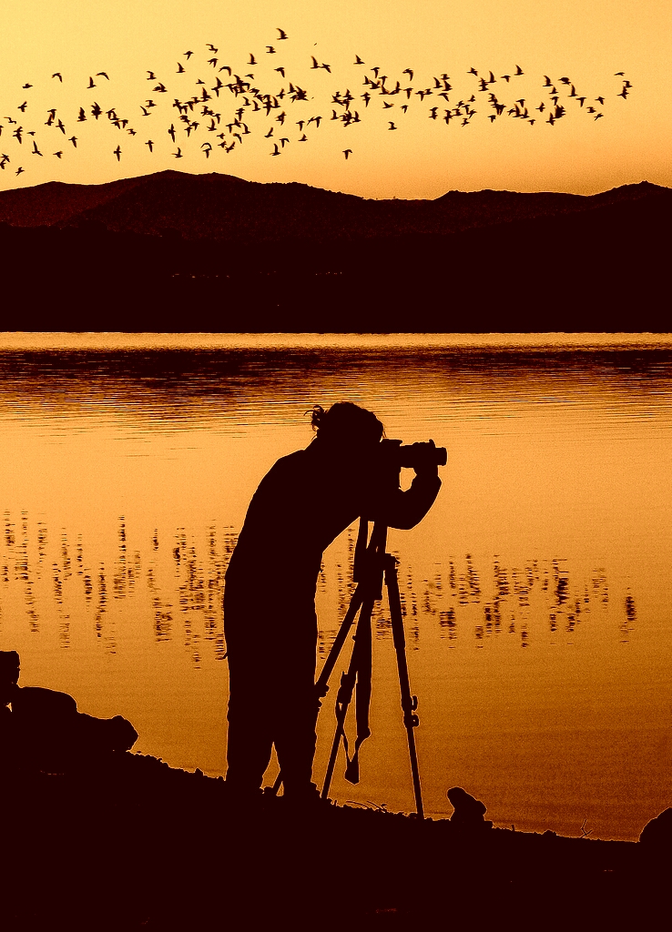 Taller de fotografía