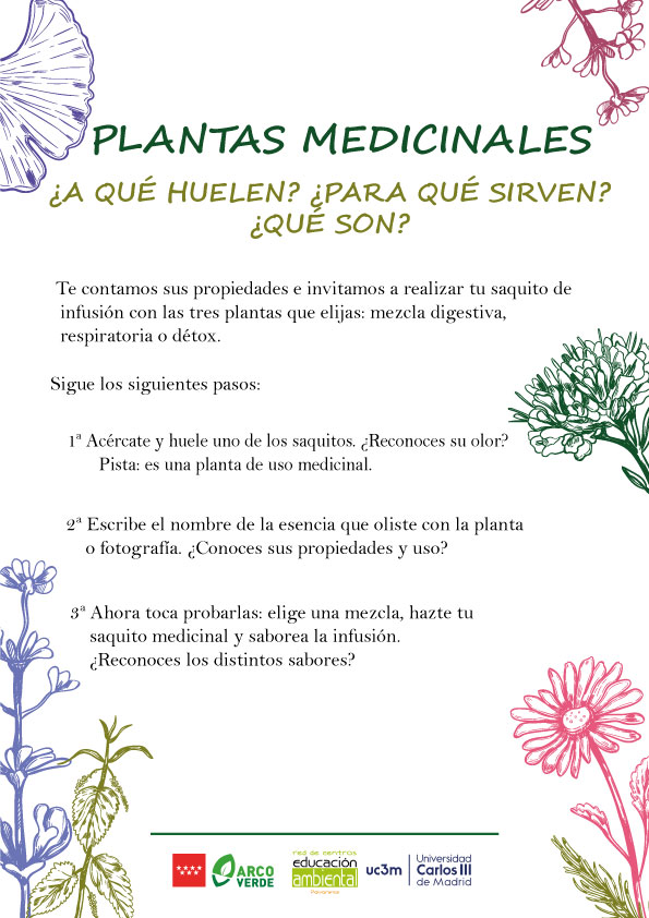 PLANTAS MEDICINALES. ¿A QUÉ HUELEN? ¿PARA QUÉ SIRVEN?