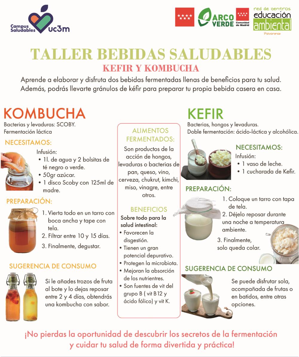 Kombucha y Kefir